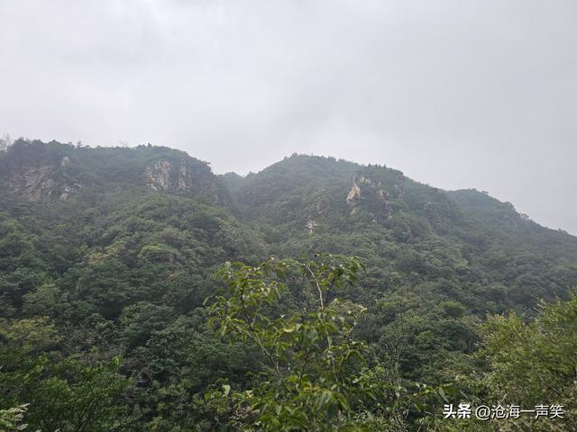 始祖山黑龙潭，水声潺潺，流水不绝，流泉飞瀑，甚是惹人喜爱！