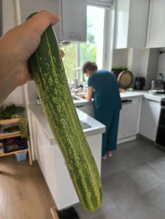 6月，谁说天空一无所有？(下)