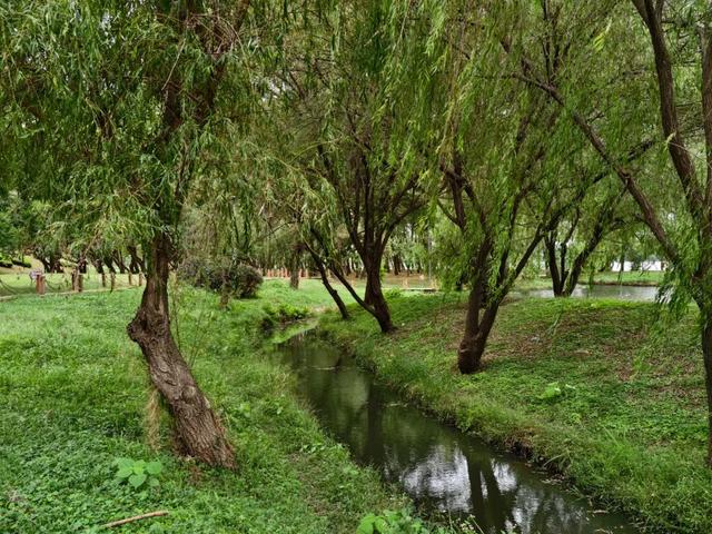 黄山治愈系打卡！20 分钟公园漫游，和“班味”说拜拜 | 皖美冬日 | 第十五届安徽国际文化旅游节