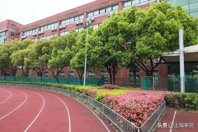 奉浦校园初冬美景大赏，你家娃的学校藏着这样的冬日浪漫