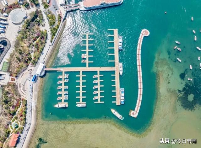 冬日限定浪漫！跟着蒋欣去海上喂海鸥！