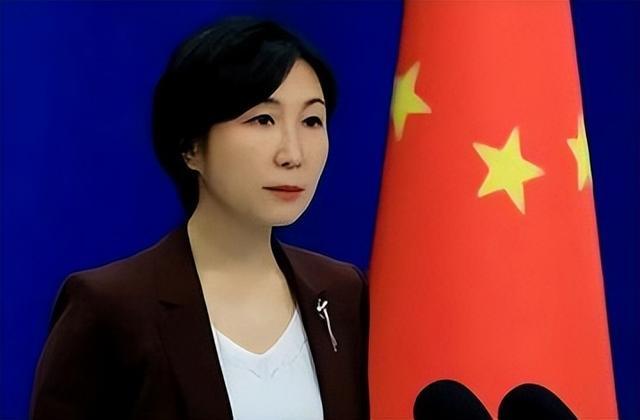 意大利听证会上，我国被捕IT工程师一句话，直接让美西方无奈