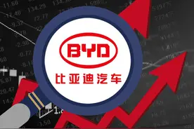 Deepseek预测中国未来汽车厂商生存概率前十名 居然没有红旗、长安图片