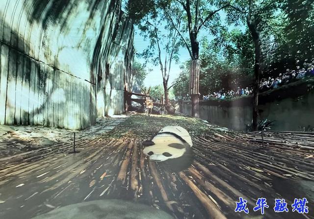 走进东郊记忆世运“任意门” ！大美四川尽收眼底|成华融媒