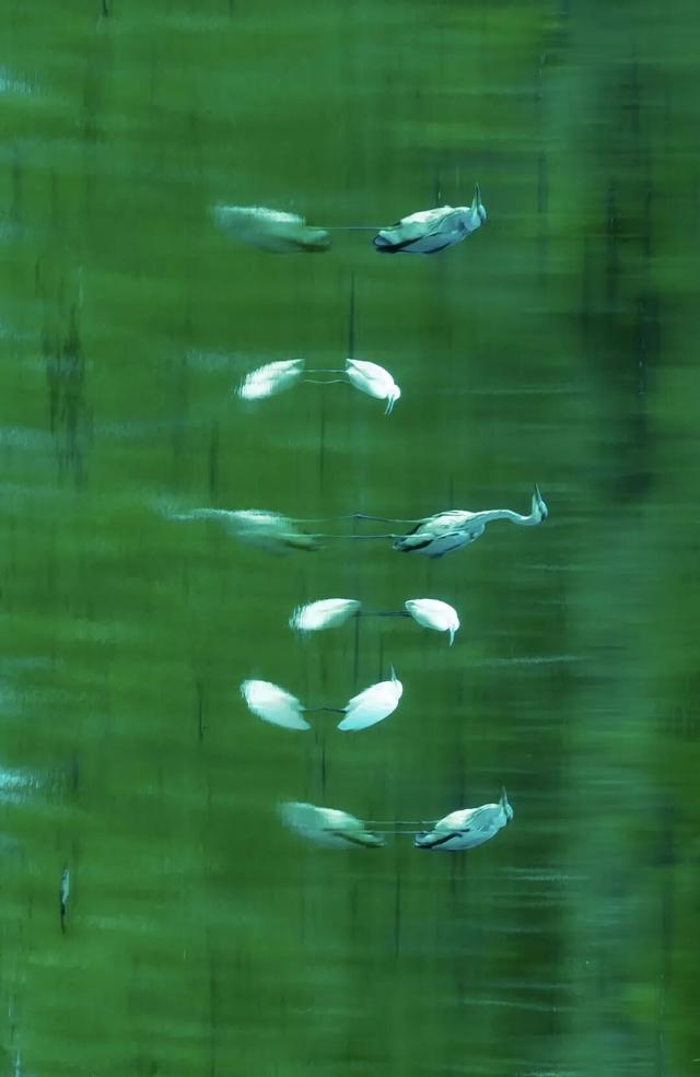 河南秋景大片，来了！（请横屏观看）