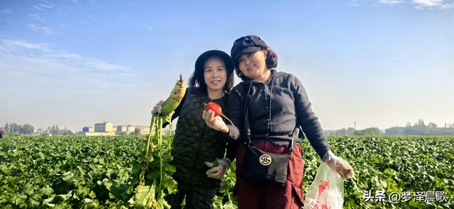 周末新玩法：云梦博物馆看秦简，新马村拔萝卜，武汉家庭乐翻天