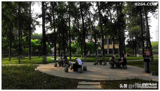 山东行游影记（15）—济南山东大学（二）