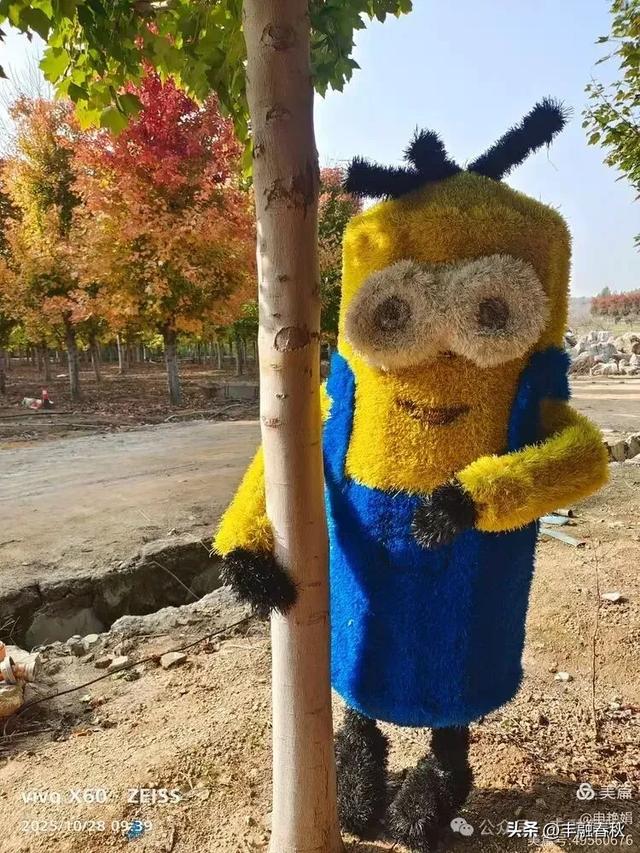 丹枫映秋，枫彩满楼｜申艳娟