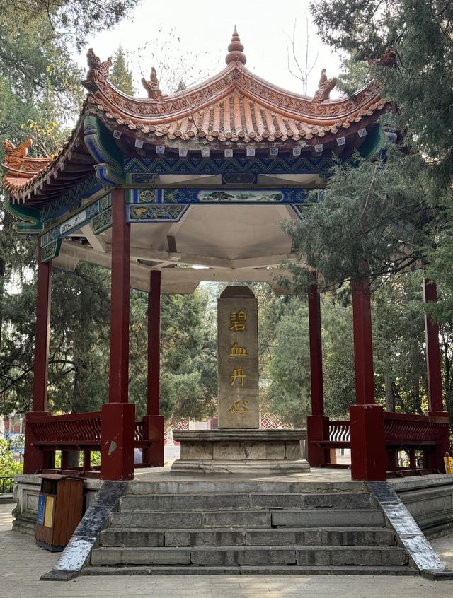 这座被火车拉来的中原第一省会，比你想象的要好玩多了