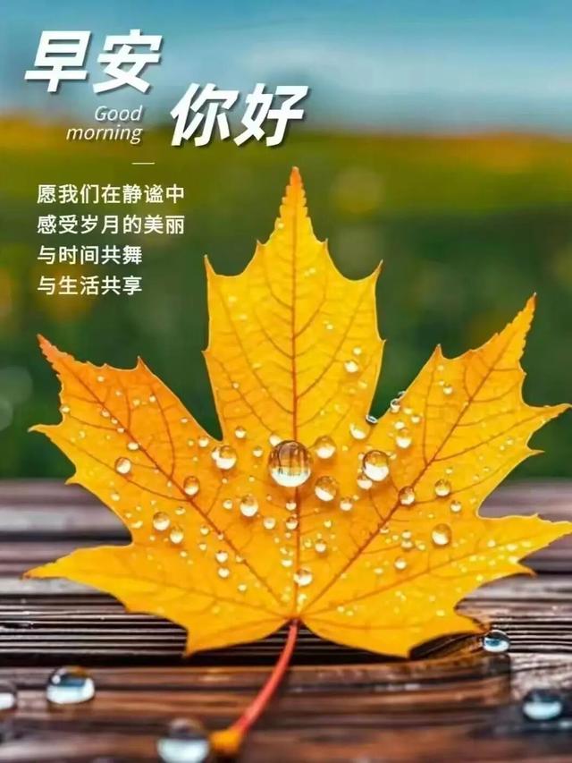 早安心语 努力是标配，快乐是选择，新一天加油