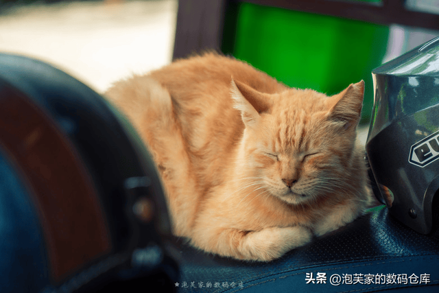 5999全画幅入门镜头？适马20-200mm 真一镜走天下 真刀锐奶化了！