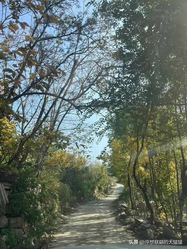 泰安岱岳区曹家庄隐佛崖打山泉水游记