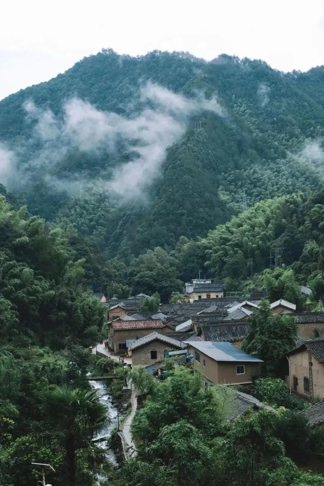 在丽水,我花100块钱买了片云!