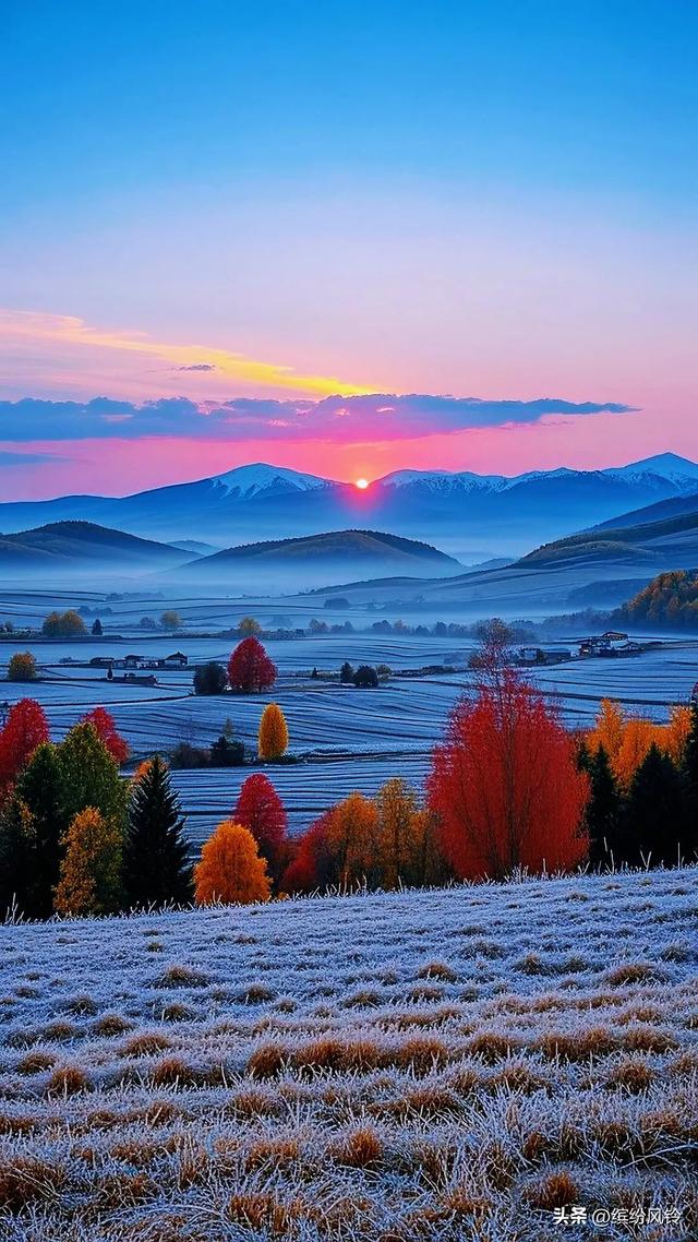 明日霜降，一朝秋暮，遍地霜华