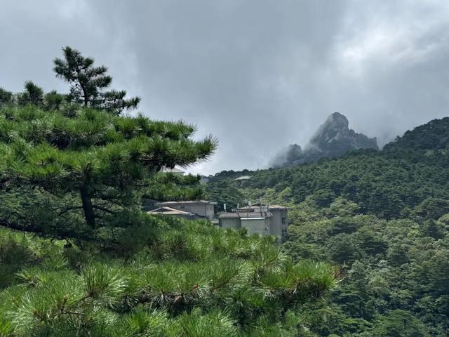 徒步三山五岳：安徽黄山！