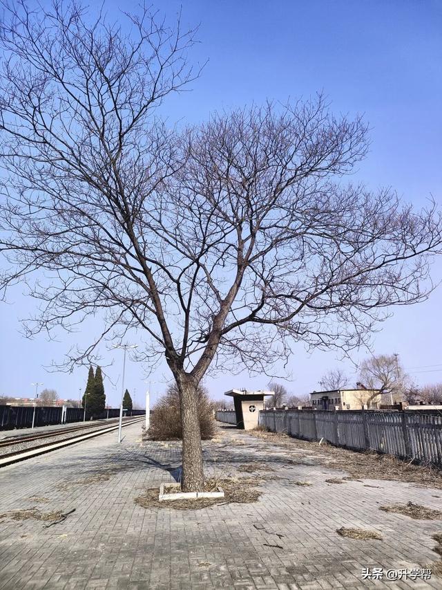 光绪15年建的火车站，就在我的家门口