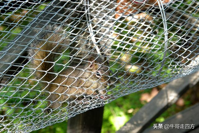 河北百草畔（中）：览尽三山舒望眼，行穿百草浣尘襟