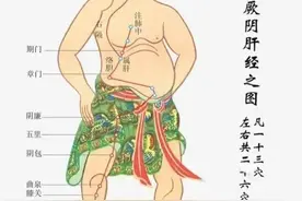 揭秘足厥阴肝经：解锁身体之谜的钥匙图片