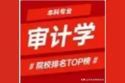 审计学都适合什么孩子填报？审计学专业学校排行榜！图片