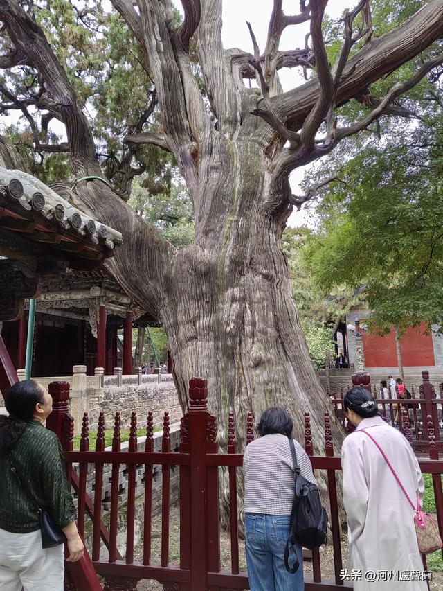 晋祠