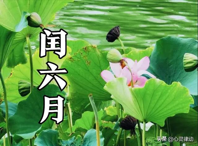 明日立秋，今年立秋最特别，60年一遇，2个提醒，早看早准备！