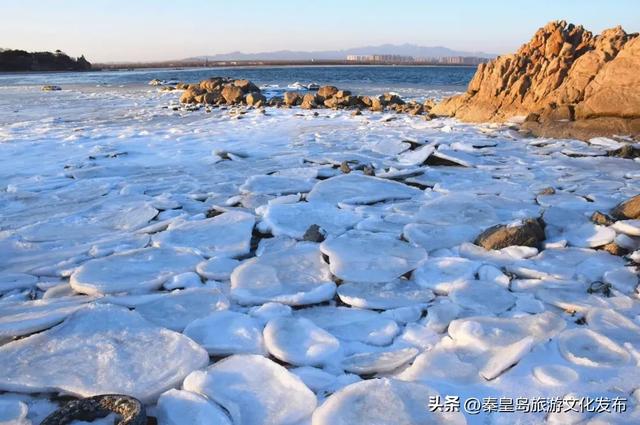 惊艳!秦皇岛海冰迎来最佳观赏期,限定美景别错过!
