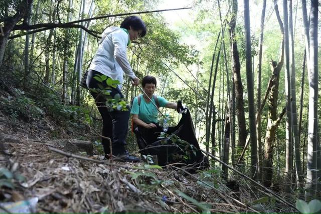 我县开展2025年军峰山公益行活动