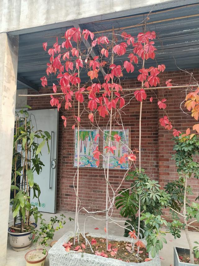 天津《天津津味早点文化旅游节》开幕