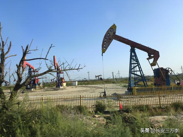 北上大草原第3站：日照凌晨观火箭，东营午后探黄河