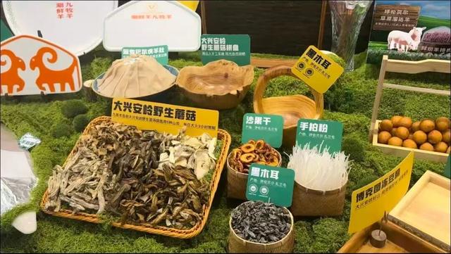 雪原递柬！呼伦贝尔大草原北京招商推介会11日启幕