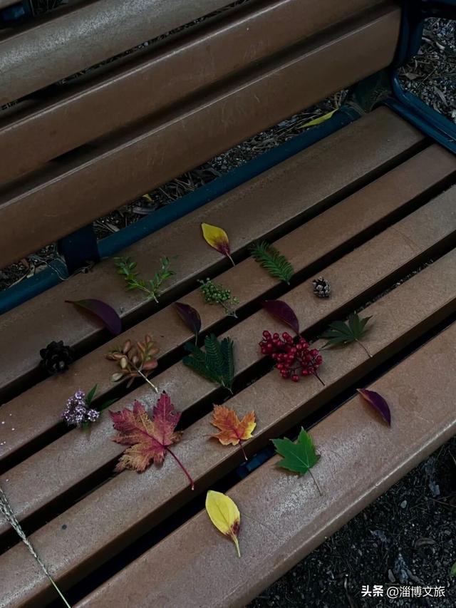 🤏捡捡捡，淄博惊现“捡秋”大神！海岱楼、周村大街…全被捡出来了→