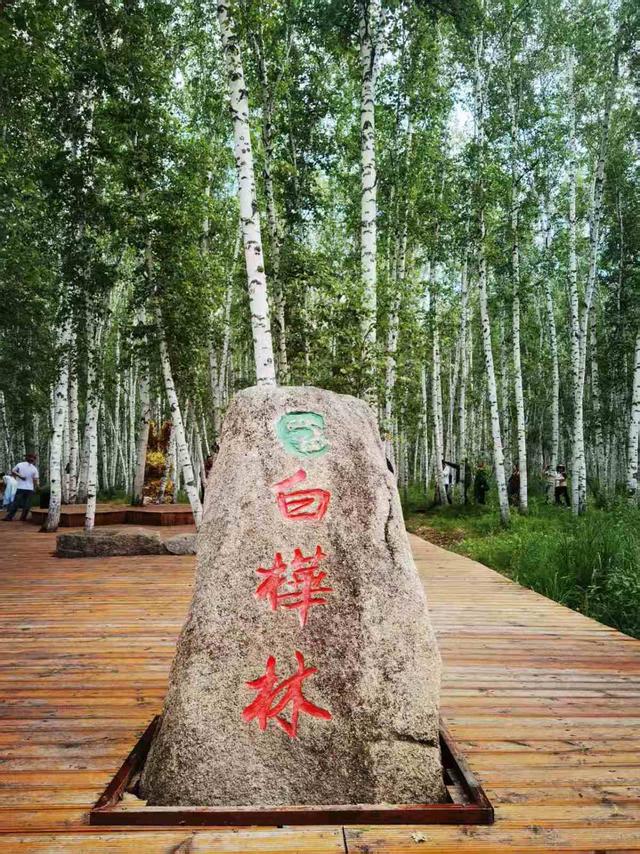 奔赴天边，寻梦呼伦贝尔草原