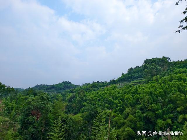 成都徒步（66）·邛崃篇⑥皮缝峡谷·皮缝古道