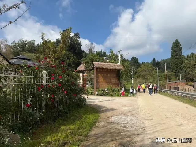 在阳光明媚的秋日里，我们走马街、三家村水库、团结乡滑草场，爽