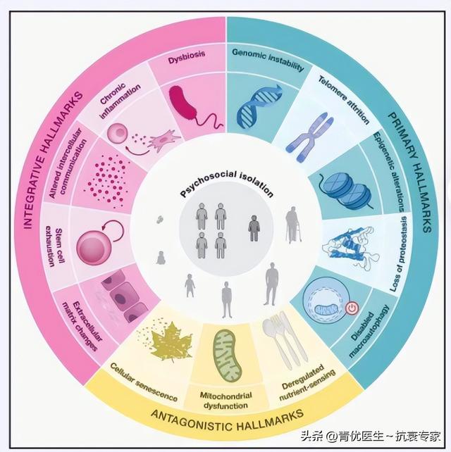打破生理年龄界限？国产年轻科技上市即脱销，NMN明星地位或不保