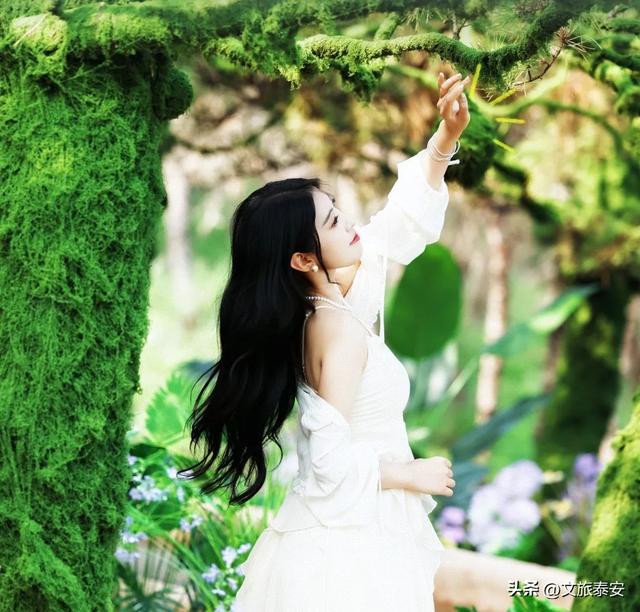 泰安不止有泰山 | 又发现泰安一个玩水避暑圣地！还能古风养生，快来一键解锁清凉