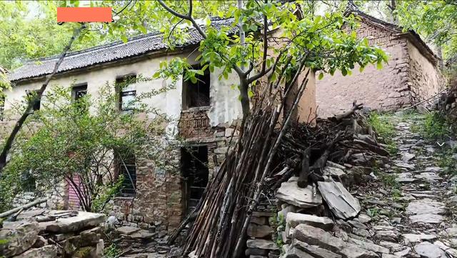 山西左权幸福的古村落，植被茂盛环境清幽，80后小伙是最后守候者