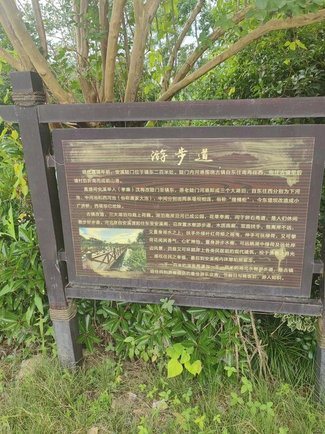夏日漫步在杭州余杭区安溪古镇小记