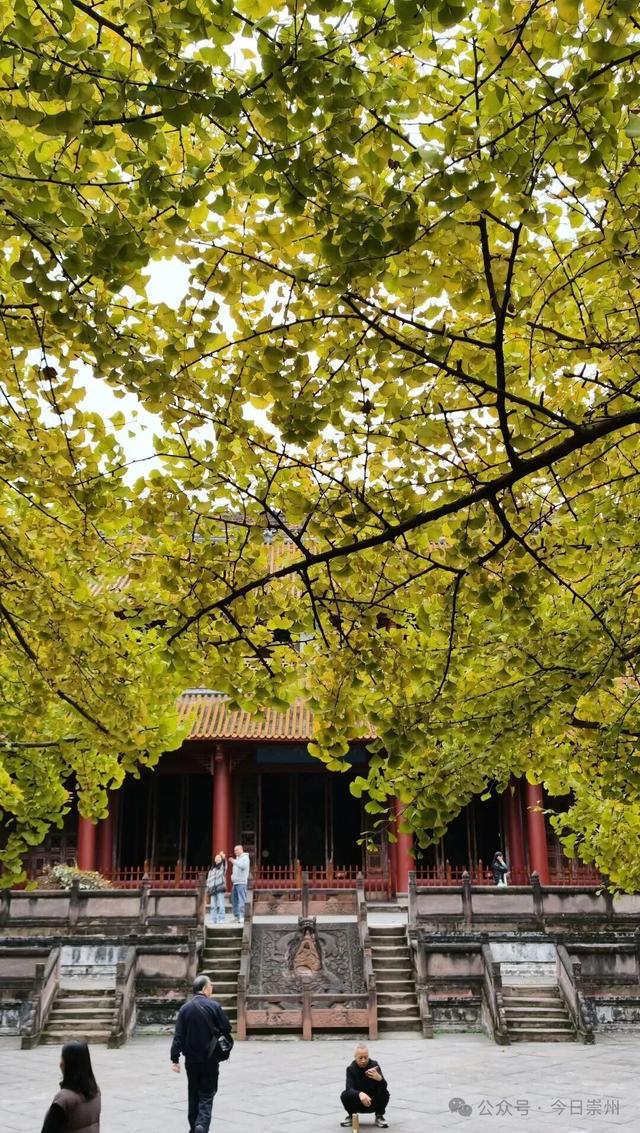 开始刷屏！🤩🤩 崇州罨画池迎来颜值巅峰