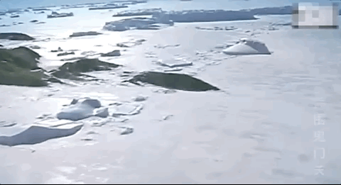 不到24小时，央媒四次点名张国立，王刚的话终于有人信了