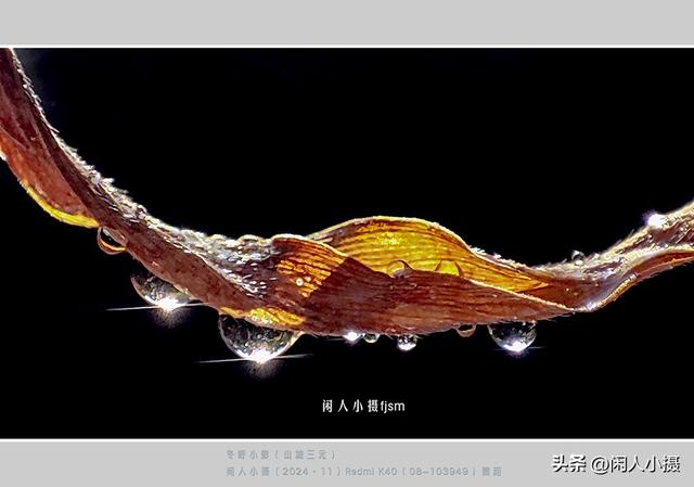 聊手机摄影（85）手机摄影用光入门须掌握	，极具表现力的逆光摄影