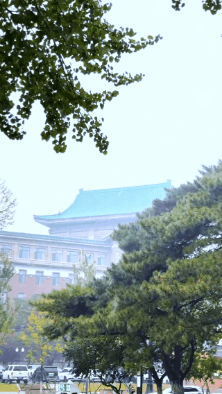 初雪邂逅老街，长春新民大街的冬日叙事即将开始