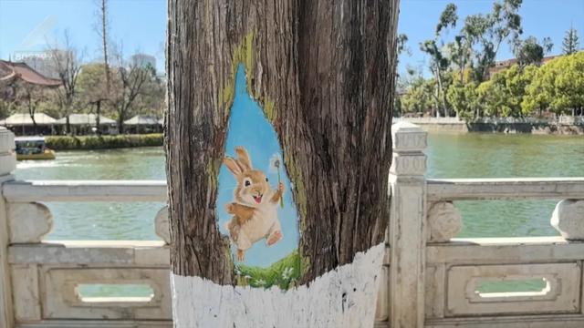 “Color Walk”火了！在昆明，用颜色解锁一座城