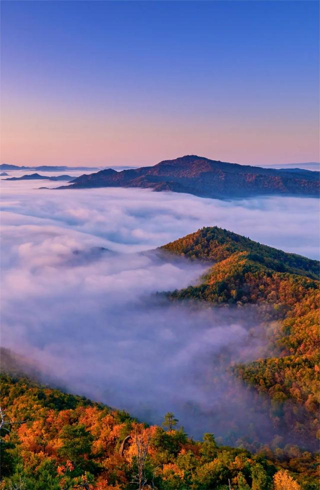 9~11月旅行推荐！全国13处绝美地上线“秋色限定”，现在计划刚好