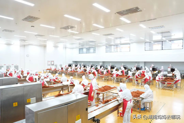 亲子家庭扎堆打卡！2025湖南工业游新路线官宣，玩法太上头了吧