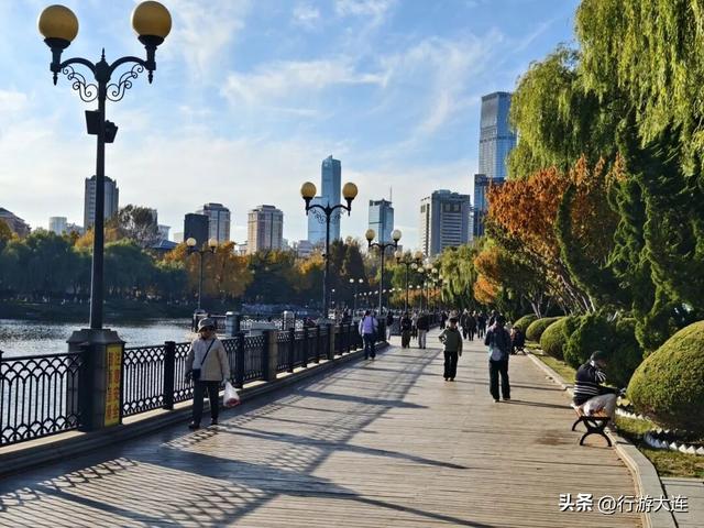 错过等一年~这个周末来这些免费打卡点，拍落叶