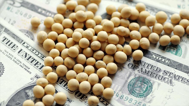 美豆堆到粮仓爆！巴西豆坐地起价？中国48小时签阿根廷 130 万单！