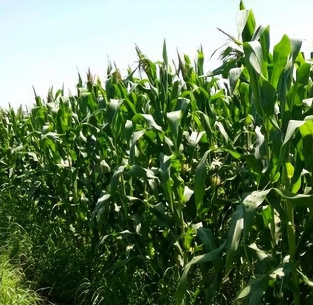 又踏甘肃地之二 一路上的点点滴滴