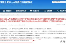 44 年工龄，在广西 60% 缴费，2025 年 1 月退休能领多少养老金？图片