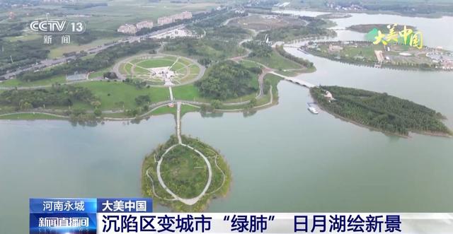 湿地候鸟翩跹 荷塘万亩飘香 看大美中国绿色发展新画卷